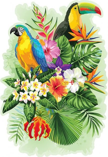 tropical_birds.jpg
